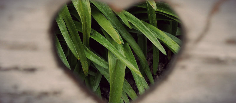 croacia reciclagem_curiosidades sobre a croácia