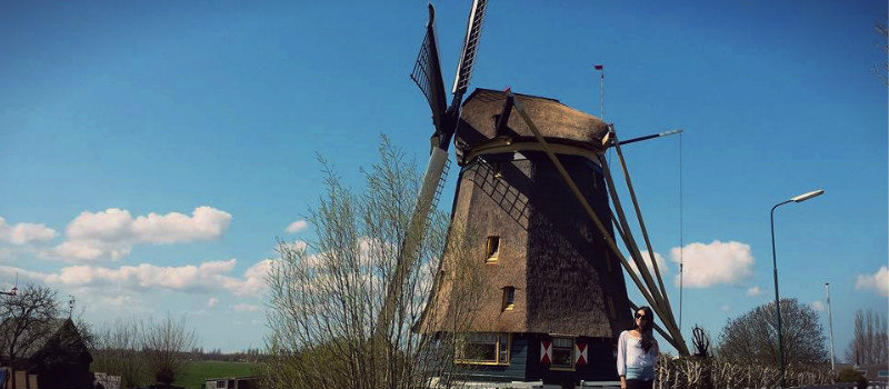 tudo sobre morar na Holanda