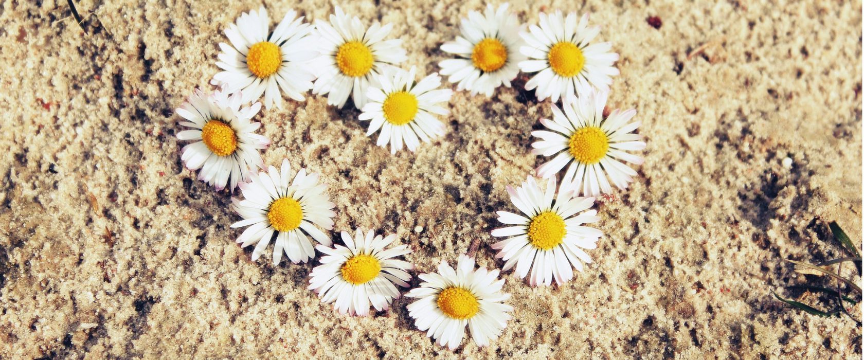 o que viajar me ensinou