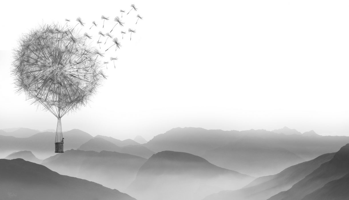 Após 2 anos buscando a felicidade, aqui está o que aprendi sobre ela