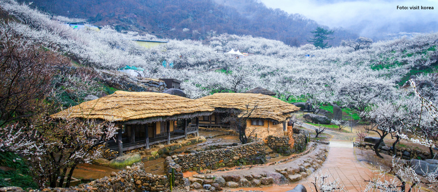 melhores destinos_Coréia do Sul