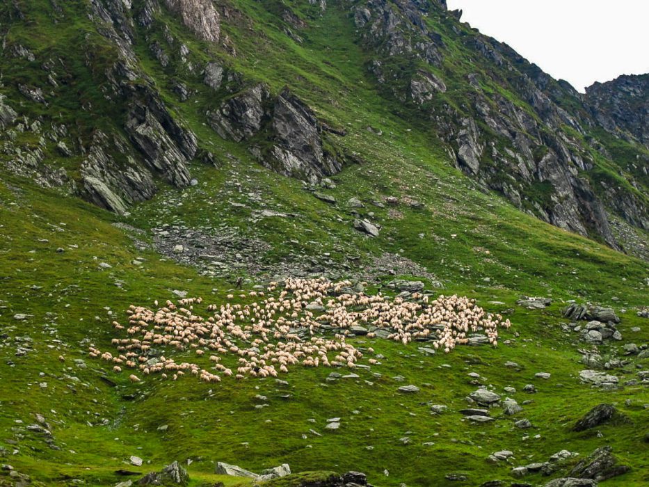 Transfăgărășan_estrada montanhas