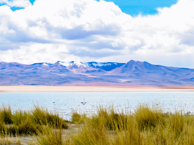Salar de Uyuni lago