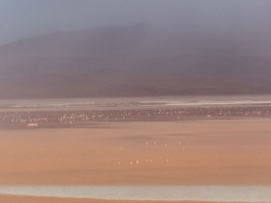 Salar de Uyuni_laguna colorada e flamingos