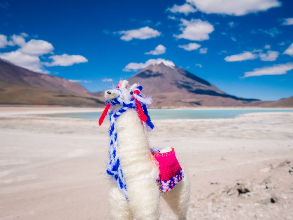Salar de Uyuni_lhama