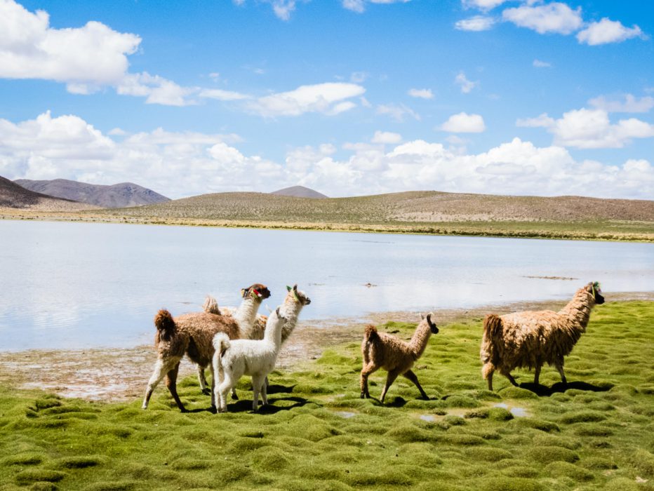 quanto custa ir ao Salar de Uyuni