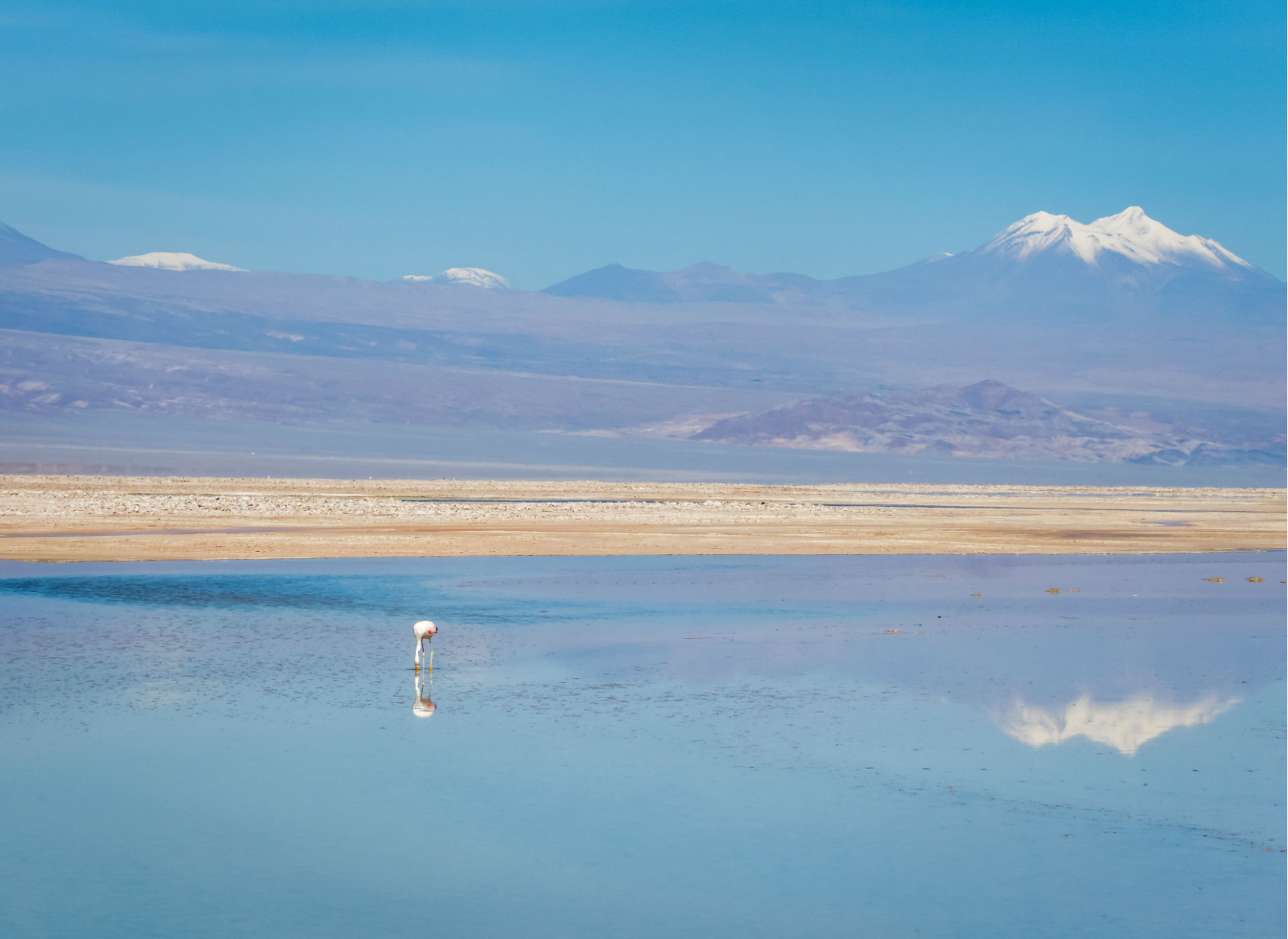 Deserto do Atacama: os melhores passeios e quanto você vai desembolsar por eles