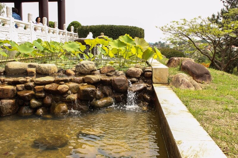 Templo Zu Lai-plantas