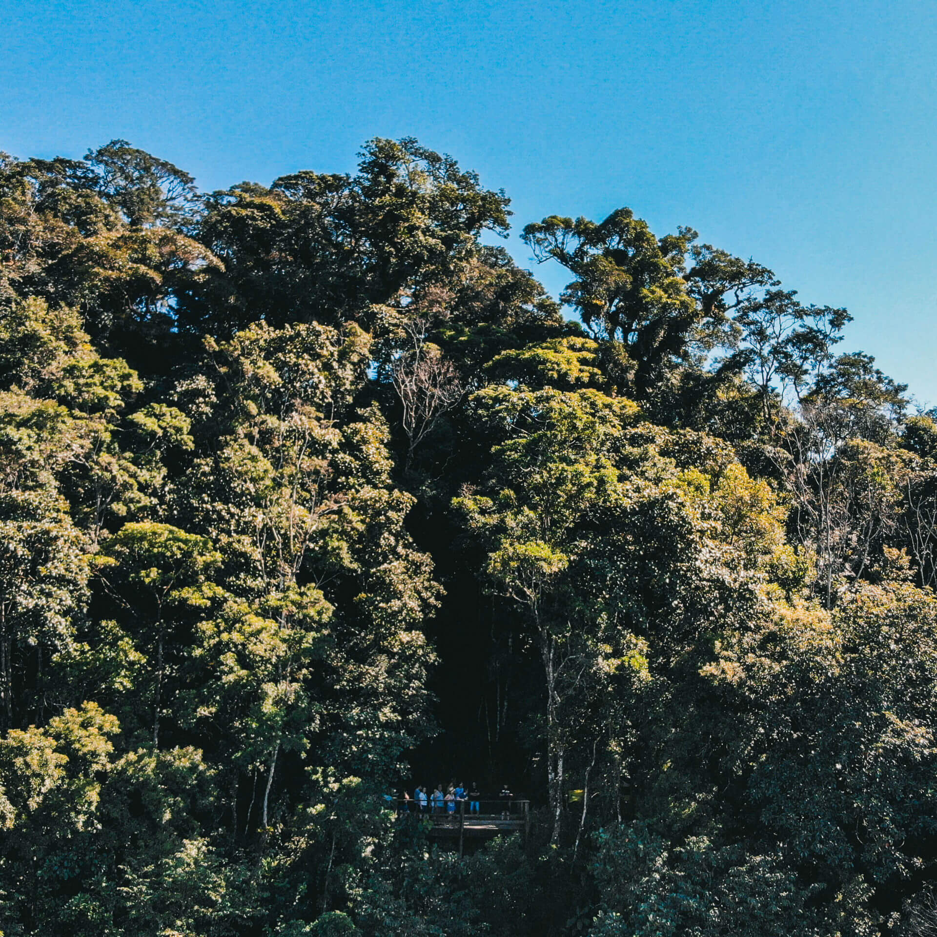 Ilhabela: o que fazer e como chegar