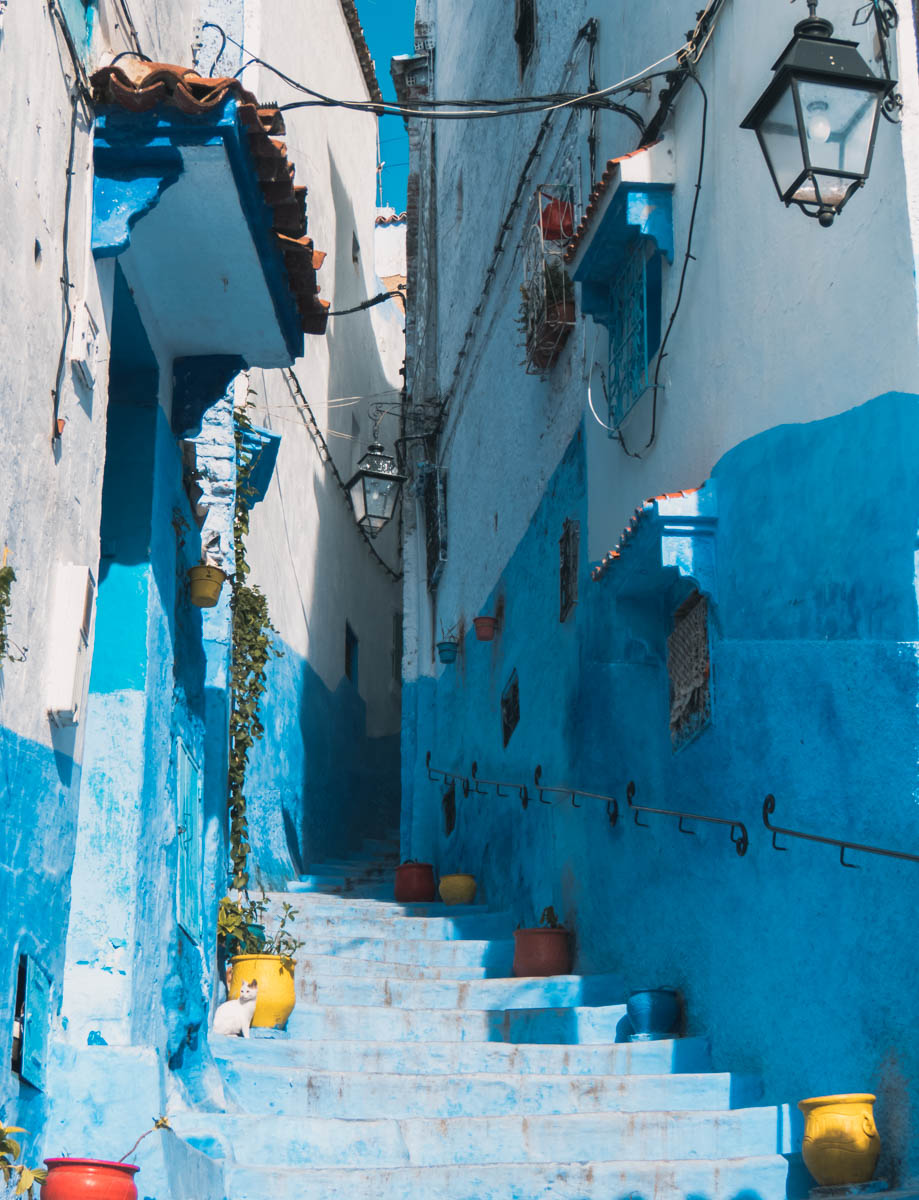 Chefchaouen flores